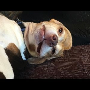 Meet your Posher, Kailie